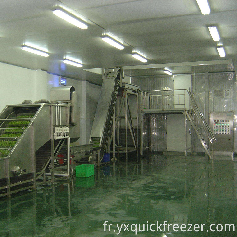 Iqf Beans Fludized Tunnel Freezer